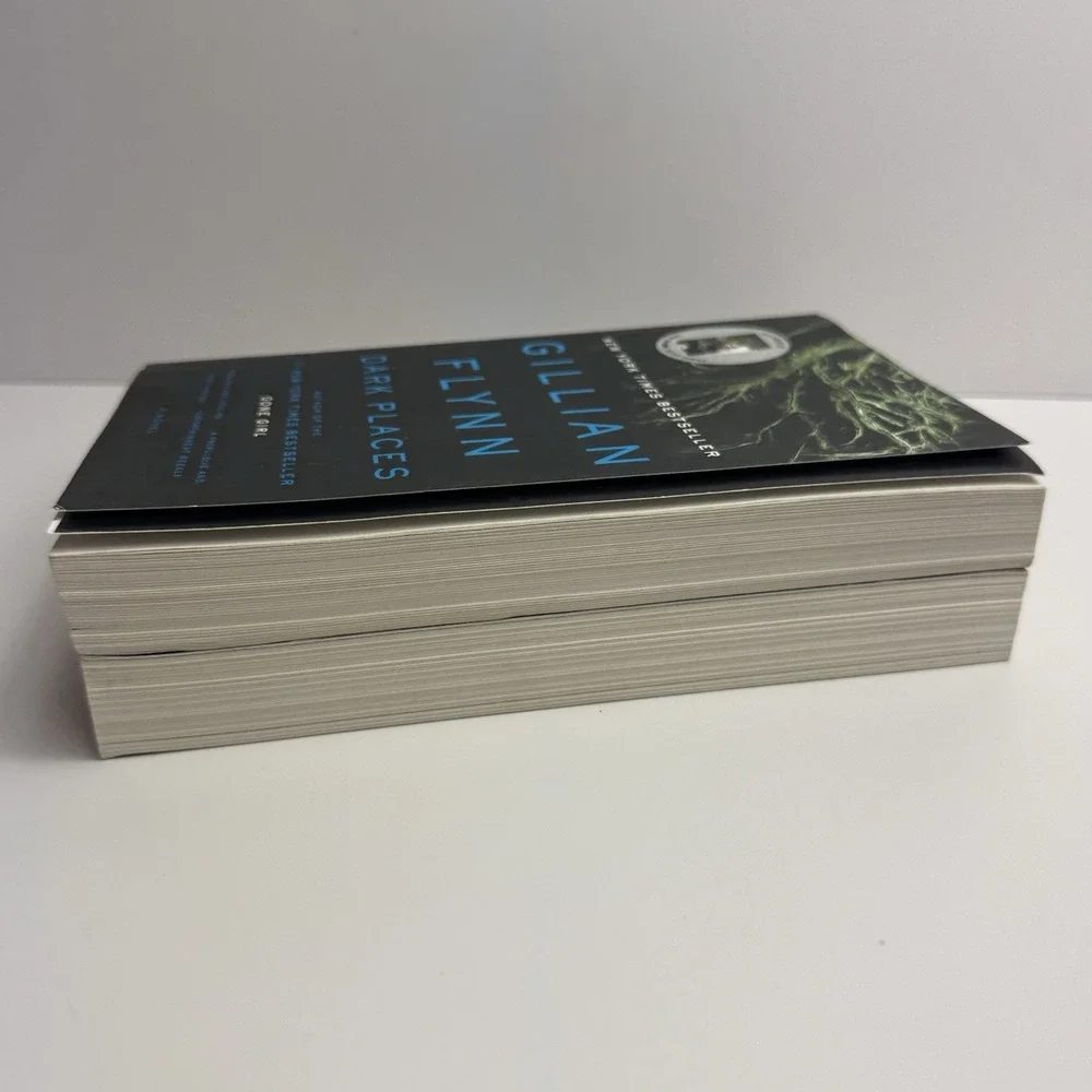 Gillian Flynn Gone Girl First Movie Tie In Dark Places Paperback 2-Book Book Lot